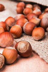 Hazelnuts close-up