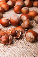 Hazelnuts close-up