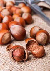 Hazelnuts close-up