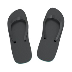 realistic 3d render of sandals