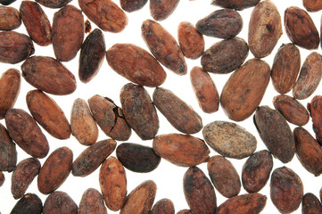 Pile of Cocoa beans