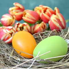 Osternest - Ostereier - Tulpen