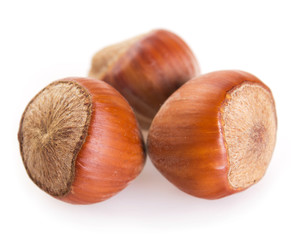 Hazelnut