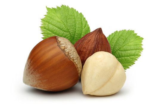 Hazelnuts and leafs