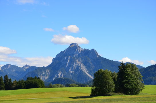 Säuling Bilder Durchsuchen 997 Archivfotos, und Videos