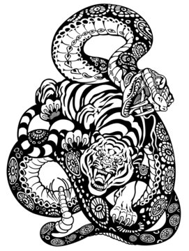 snake and tiger fighting