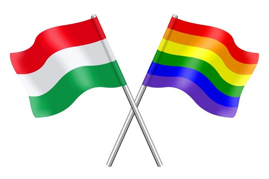 Flags : Hungary and rainbow