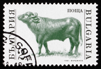 Naklejka premium Postage stamp Bulgaria 1991 Bull, Farm Animal