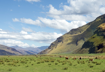 Fabulous scenery in New Zealand