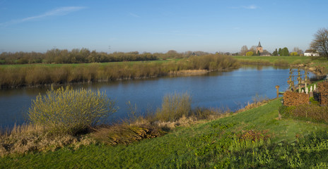 Fototapeta na wymiar Pollard willows along a sunny river