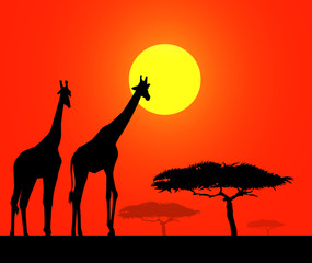 Fototapeta na wymiar African safari at sunset -vector