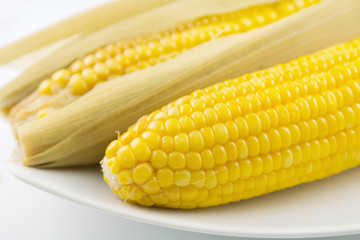Boiled corn cobs isolated on white background