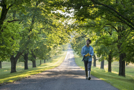 A man walking down a tree lined path.