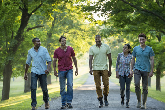 Five people walking down a tree lined avenue in the countryside.
