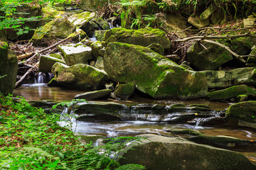 beautiful waterfall comes out of a huge rock in the forest