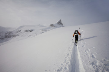 Two skiers ascending  Wapta Traverse in Alberta, Canada
