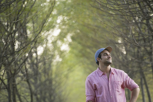 A man standing in an avenue of trees, looking upwards. 