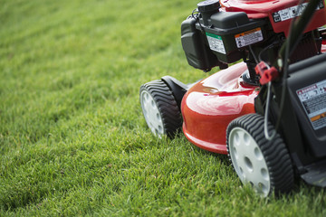 A young man mowing the grass on a property, tending the garden, using a petrol lawnmower. 