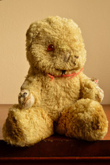 An Old Battered Teddy Bear