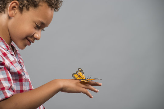A child with a butterfly on his hand, keeping very still. 