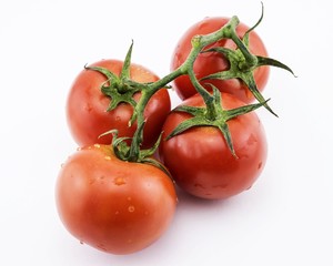 tomatoes on a branch