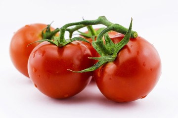 tomatoes on a branch