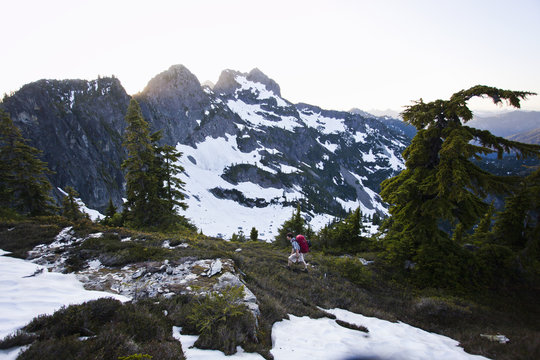A young man hikes around a snow patch while going to the summit of a large mountain in the Cascades of Washington, USA.