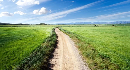 Fotobehang Paisaje de campos verdes y camino © C.Castilla