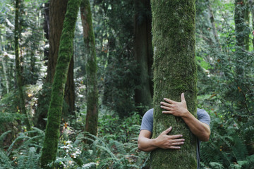 Man hugging tree in forest