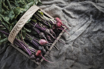 Organic Assorted Beets with stems just harvested