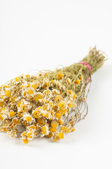 Dried chamomile on white background