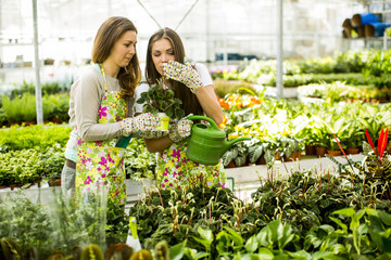 Young women in flower garden