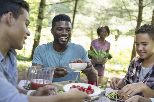 A family picnic meal in the shade of tall trees. Parents and children helping themselves to fresh fruits and vegetables.