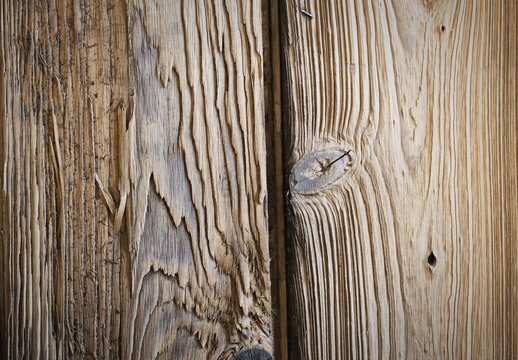 A reclaimed lumber workshop. Close up of two planks of wood, with knots and wood grain patterns. 