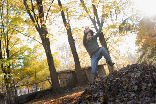 A child in autumn sunshine in a woodland. Leaping into a large pile of raked up autumn leaves. 