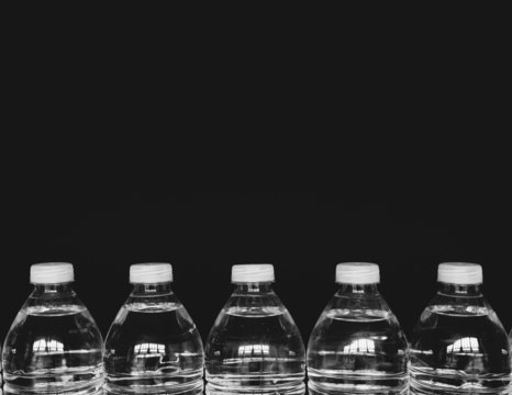 Row Of Clear, Plastic Water Bottles Filled With Filtered Water