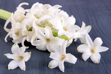 Fototapeta na wymiar White hyacinth on wooden background