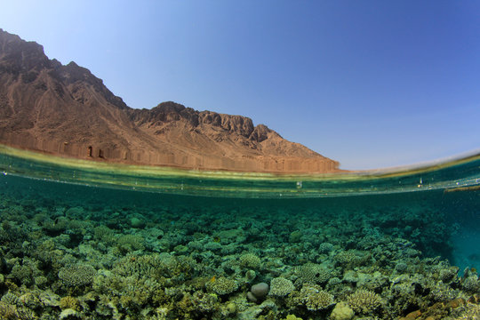 Red Sea reef and desert mountains