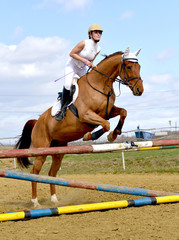 horse jumping