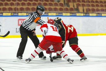 Naklejka premium Hockey