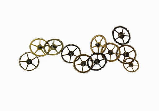 Watch gears, small precision made cog wheels with spokes and fine teeth or notches around the edge. The moving parts of a watch.
