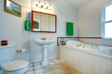 Elegant bathroom intrerior