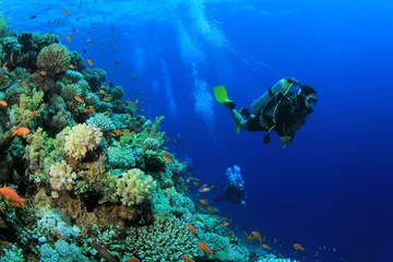 Wall murals Diving Scuba diving on coral reef