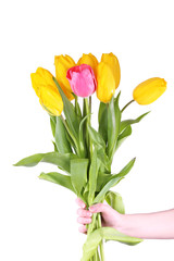 Pink and yellow tulips on bright background
