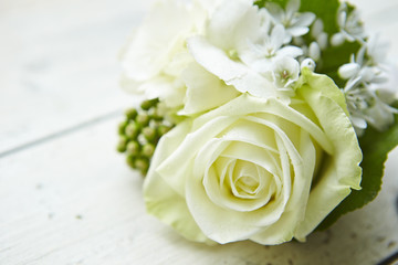 roses