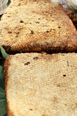 fresh honey in the comb