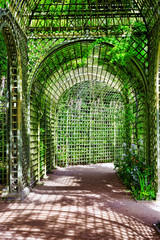 Green archway in a garden. Beautiful Versailles , France