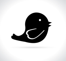 birdie design