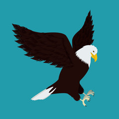 Eagle design