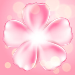 Beautiful pink flower